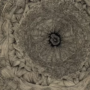 Image of Appropriation Loops A Love Story by Bookworms Vinyl Album