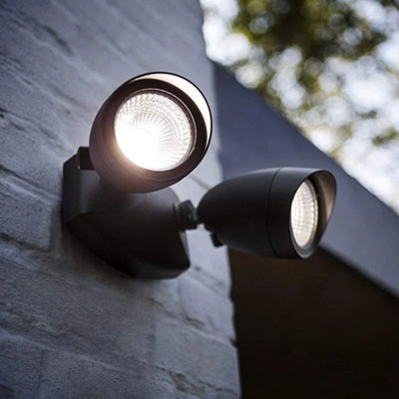 Image of CGC Lighting 'Martha' Black Double LED Outdoor Floodlight Black