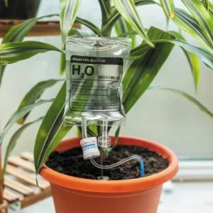 Image of Plant Life Support