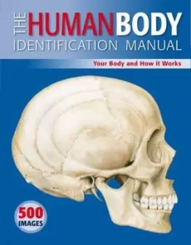 Image of The human body identification manual by Ken Ashwell