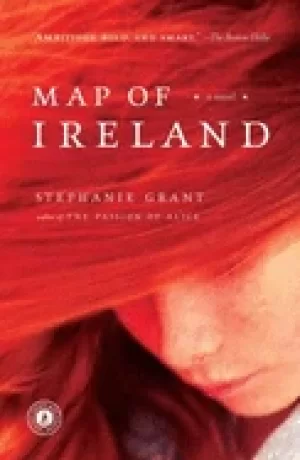 Image of map of ireland a novel
