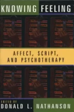 Image of knowing feeling affect script and psychotherapy norton professional books