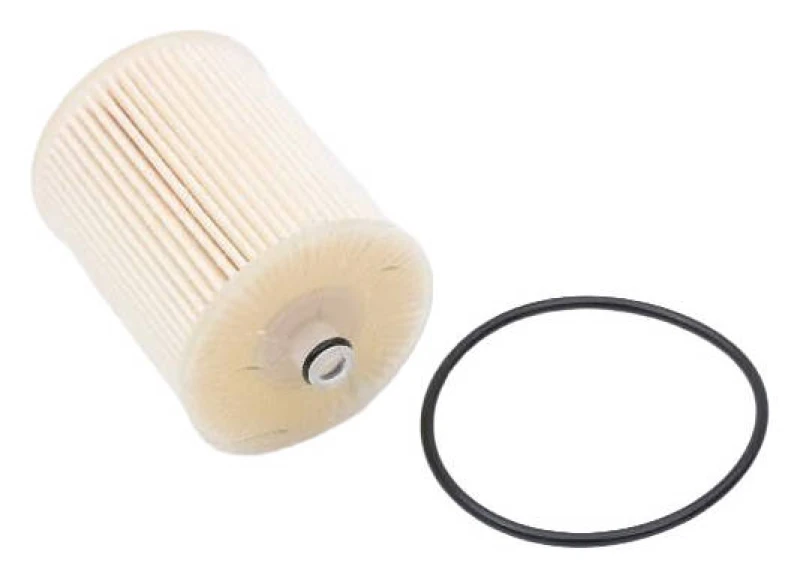 Image of ASHIKA 30-ECO036 Fuel Filter Filter Insert Fuel filter (9)
