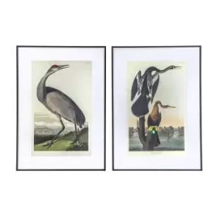 image of Set of 2 Exotic Foul Framed Art