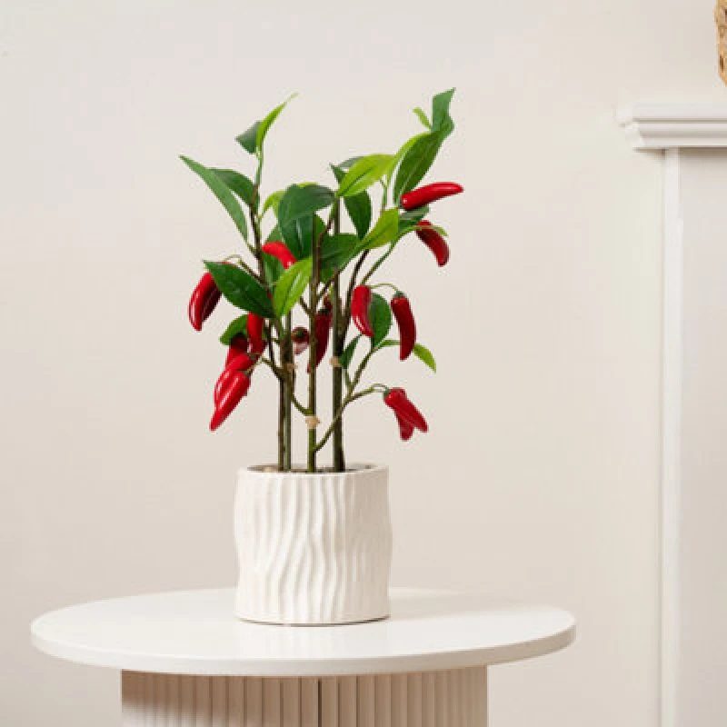 Image of Scottish Everlastings Ltd Chilli Plant In Ceramic Pot 49cm, Green SEL1350