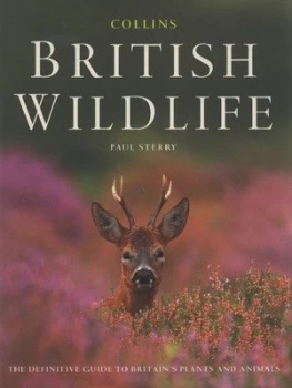 Image of Collins British Wildlife by Paul Sterry Hardback