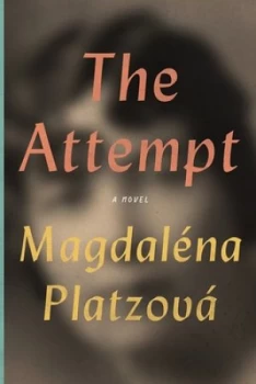 Image of The Attempt by Magdalna Platzov Book