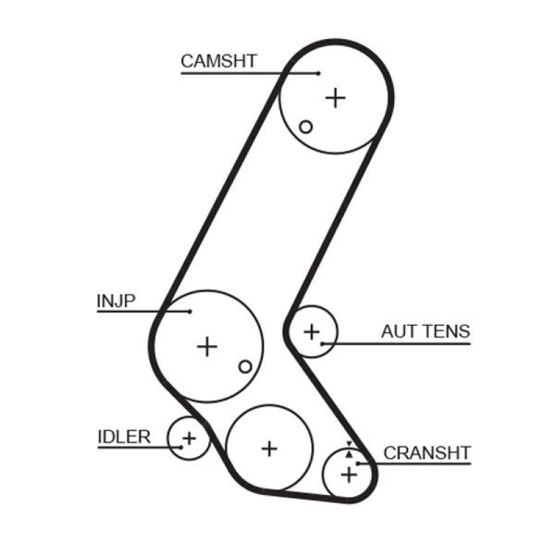 Image of GATES Timing Belt GATES 5595XS