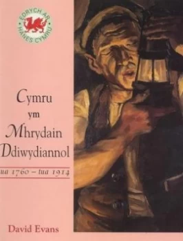 Image of Cymru Ym Mhrydain Ddiwydiannol by David Evans Book