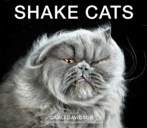 Image of Shake Cats by Carli Davidson Hardback