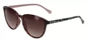 image of Ted Baker Sunglasses TB1442 149