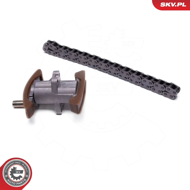 Image of ESEN SKV Timing chain kit ESEN SKV 21SKV269