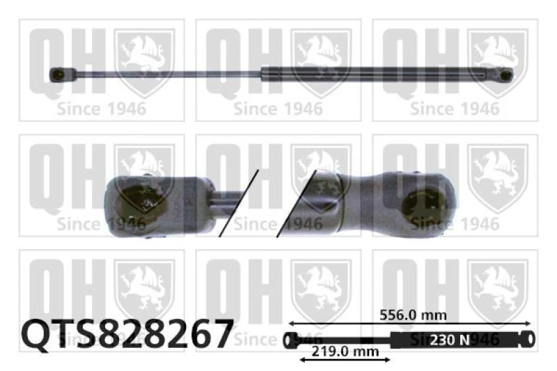 Image of QUINTON HAZELL Tailgate strut QUINTON HAZELL QTS828267
