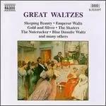 Image of great waltzes various