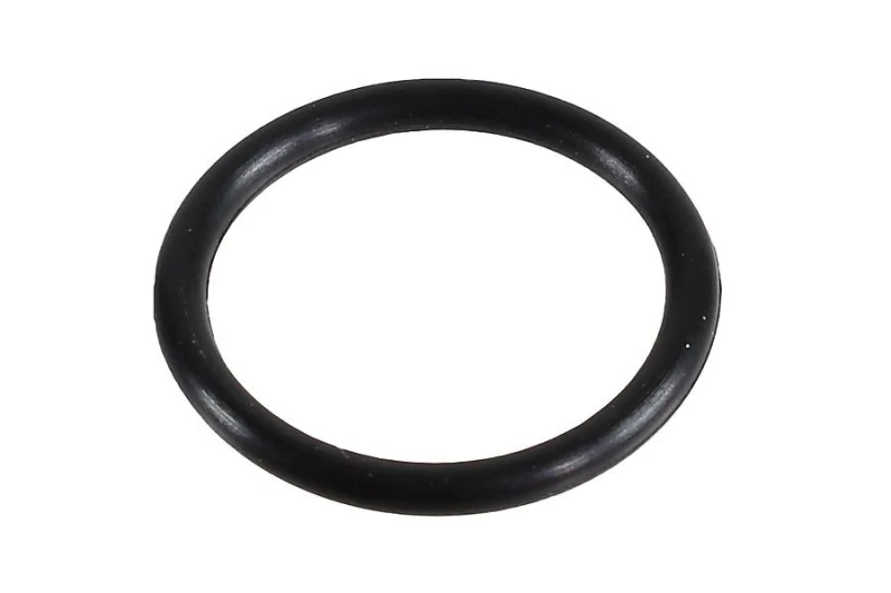 Image of Seal Ring METZGER 2430001