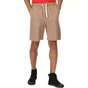 image of Regatta Mens Etonbury Lightweight Casual Shorts 3XL - Waist 46-48' (117-122cm)