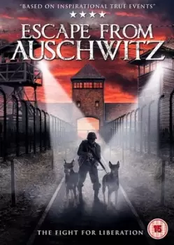 image of Escape from Auschwitz - DVD