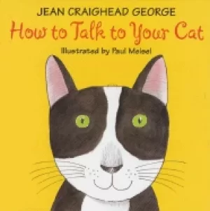 Image of how to talk to your cat