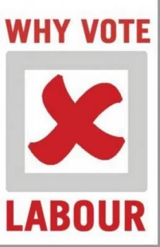 Image of Why Vote Labour by Rachel Reeves Book