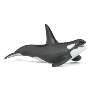 image of PAPO Marine Life Killer Whale Toy Figure, Three Years or Above, Black/White (56000)