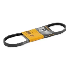 Image of CONTITECH V-ribbed belt FORD,RENAULT,CHEVROLET 4PK735 GFB80743,GFB80750,25183063 25183063,96352517,96569402,1120199,XS7E6C301CC,JD61137,JDE3903