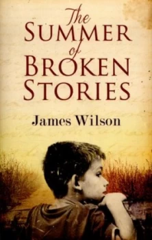 Image of The Summer of Broken Stories by James Wilson Paperback
