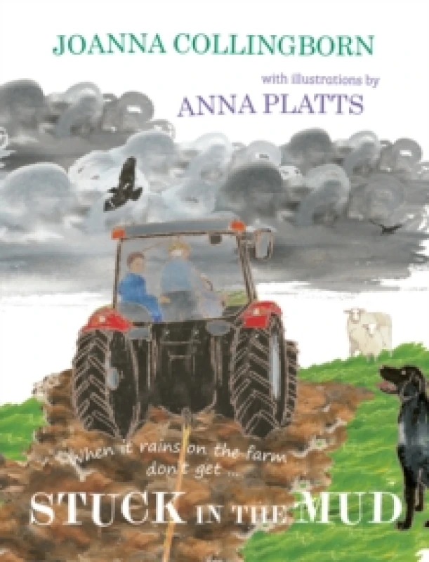 Image of Stuck in the Mud : the brilliant award-winning adventure at Hillside Farm Paperback / softback