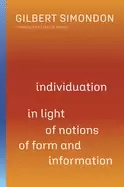 Image of individuation in light of notions of form and information