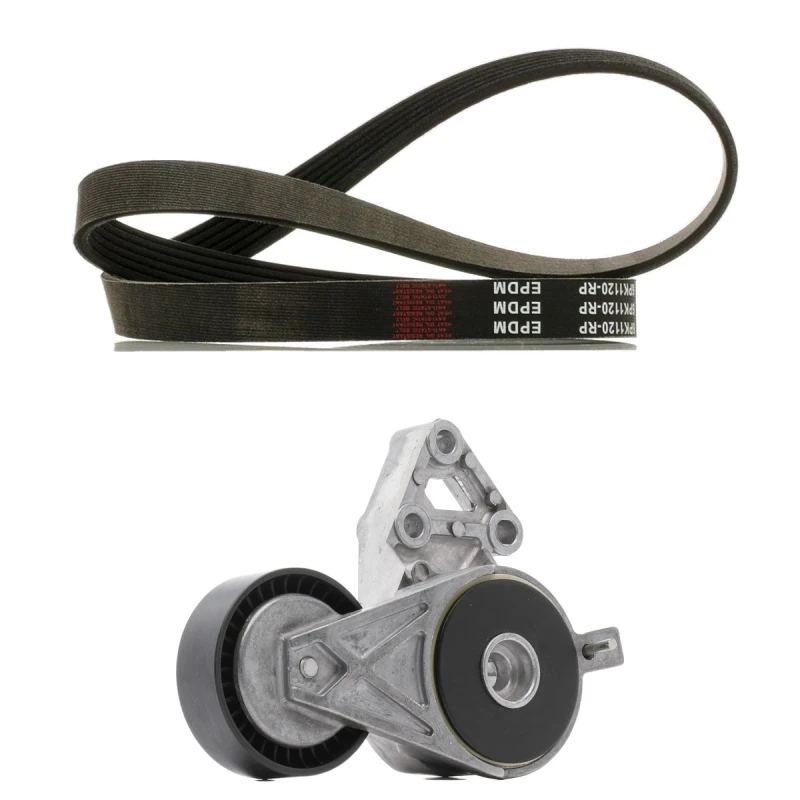 Image of RIDEX PLUS 542R1350P V-ribbed belt set V-Ribbed Belt Set (542)