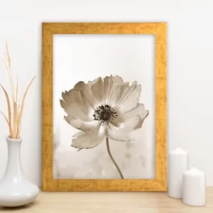 Image of AC1680333027 Multicolor Decorative Framed MDF Painting