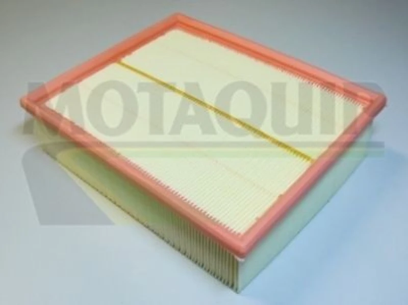 Image of MOTAQUIP Air filter MOTAQUIP VFA1024