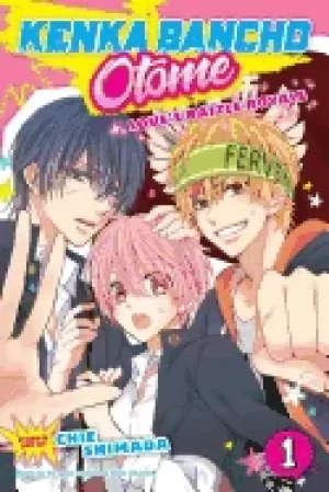 Image of kenka bancho otome loves battle royale vol 1