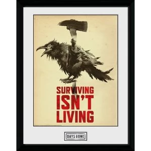 image of Days Gone Crow Collector Print