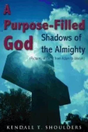 Image of purpose filled god shadows of the almighty