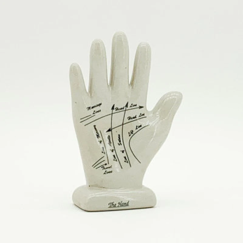 Image of MSL 7" PALMESTRY HAND