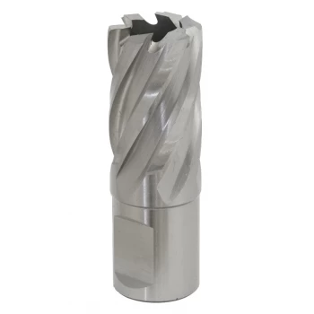 Image of Rotabor Cutter HSS 21MM - Cut Depth 25MM