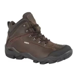 Image of IMAC Womens/Ladies Waterproof Leather Hiking Boots (8 UK) (Brown)