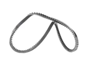 Image of CONTITECH V Belt VW,AUDI,FORD AVX10X735 068903137F,068903137Q,0775300590009 Fenner Belt 89203057100,90048,9004832095,9004832095000,4153106,7614957