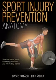 Image of Sport Injury Prevention Anatomy