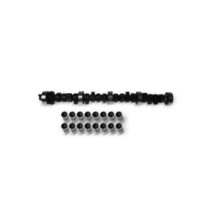 Image of ET ENGINETEAM Camshaft Kit HV0338ET VW,AUDI,FORD,Golf IV Schragheck (1J1),Golf V Schragheck (1K1),POLO (9N_),TOURAN (1T1, 1T2),Passat Variant (3C5)