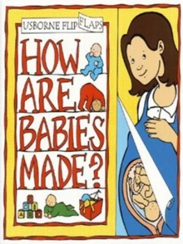 Image of How Are Babies Made by Alastair Smith and Maria Wheatley and Fiona Johnson Paperback
