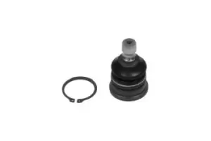 Image of KAVO PARTS Ball joint Front Axle SBJ-7501 Suspension ball joint,Suspension arm ball joint SSANGYONG,RODIUS II,RODIUS,Stavic SUV