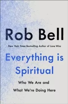 Image of Everything is Spiritual : A Brief Guide to Who We Are and What We're Doing Here