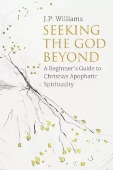 Image of Seeking the God beyond by J. P. Williams