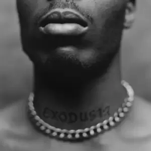 Image of DMX - Exodus Vinyl