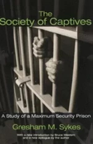 Image of society of captives a study of a maximum security prison