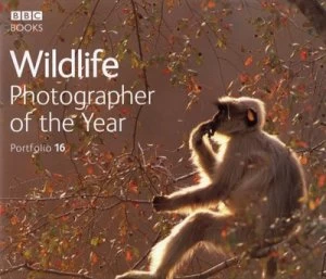 Image of Wildlife Photographer of the Year. Portfolio 16 by Harry Ricketts Hardback