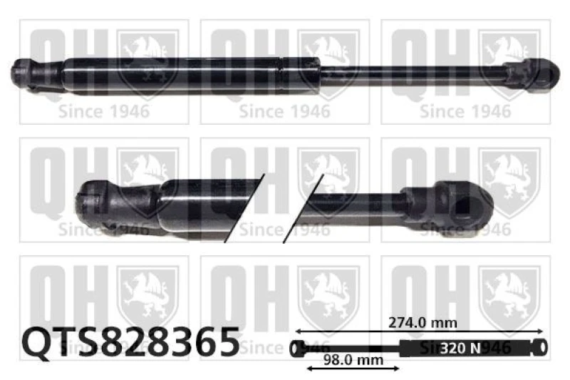 Image of QUINTON HAZELL Tailgate strut QUINTON HAZELL QTS828365