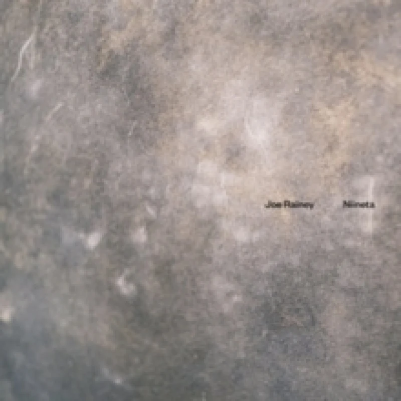 Image of Niineta Vinyl