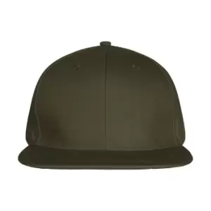 Image of Clique Unisex Adult Street Cap (One Size) (Fog Green)